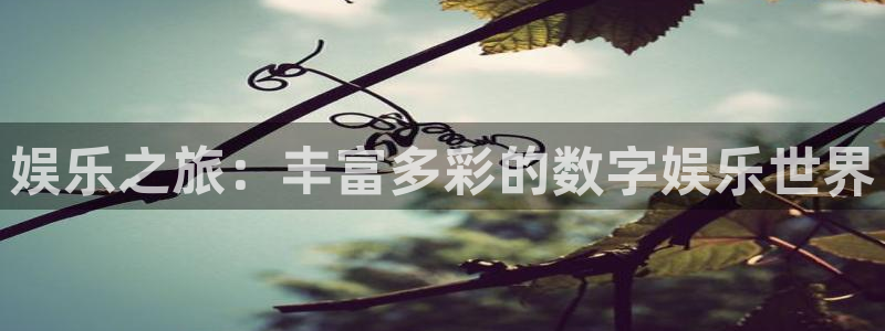彩名堂计划怎么打不开了：娱乐之旅：丰富多彩的数字娱乐世界