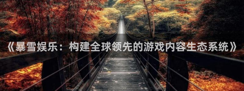 彩名堂怎么样：《暴雪娱乐：构建全球领先的游戏内容生态系统》
