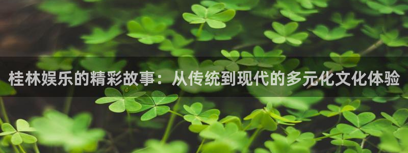 彩名堂官网下载：桂林娱乐的精彩故事：从传统到现代的多元化文化体验
