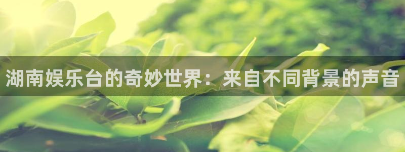 彩名堂计划怎么样：湖南娱乐台的奇妙世界：来自不同背景的声音