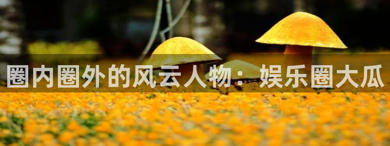 彩名堂免费计划官网5.0版下载链接：圈内圈外的风云人物：娱乐圈大瓜