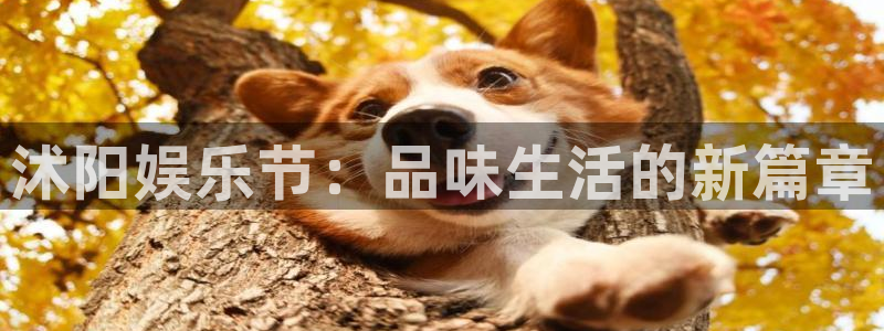 彩名堂计划怎么打不开了：沭阳娱乐节：品味生活的新篇章