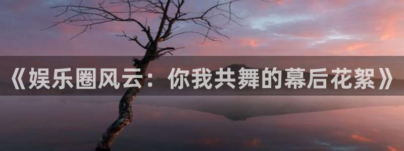 彩名堂旧版本：《娱乐圈风云：你我共舞的幕后花絮》