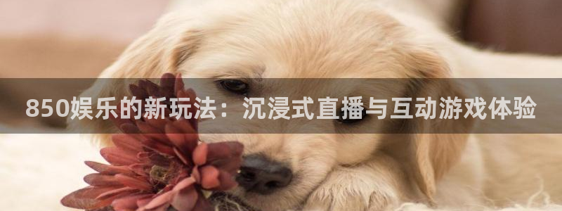 彩名堂计划软件下载：850娱乐的新玩法：沉浸式直播与互动游戏体验