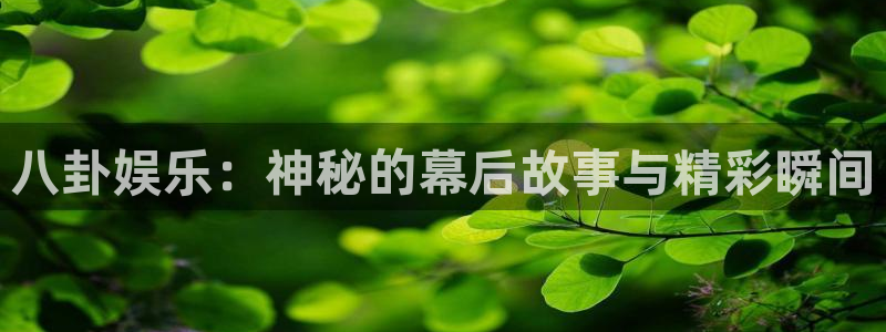 彩名堂官方平台：八卦娱乐：神秘的幕后故事与精彩瞬间