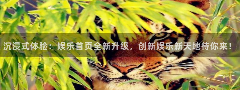 彩名堂：沉浸式体验：娱乐首页全新升级，创新娱乐新天地待你来！