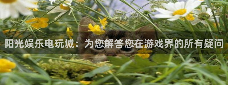 彩名堂安卓版：阳光娱乐电玩城：为您解答您在游戏界的所有疑问